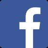 Facebook icon 2013